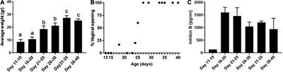 Immature Follicular Origins and Disrupted Oocyte Growth Pathways Contribute to Decreased Gamete Quality During Reproductive Juvenescence in Mice